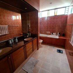 Village Tower (D10), Condominium #562517491